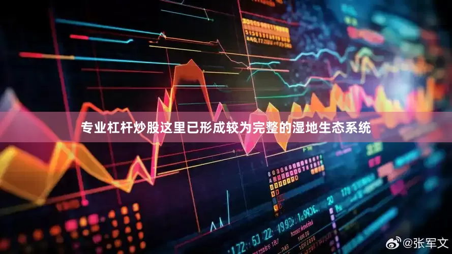 专业杠杆炒股这里已形成较为完整的湿地生态系统