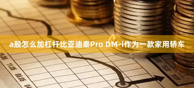 a股怎么加杠杆比亚迪秦Pro DM-i作为一款家用轿车